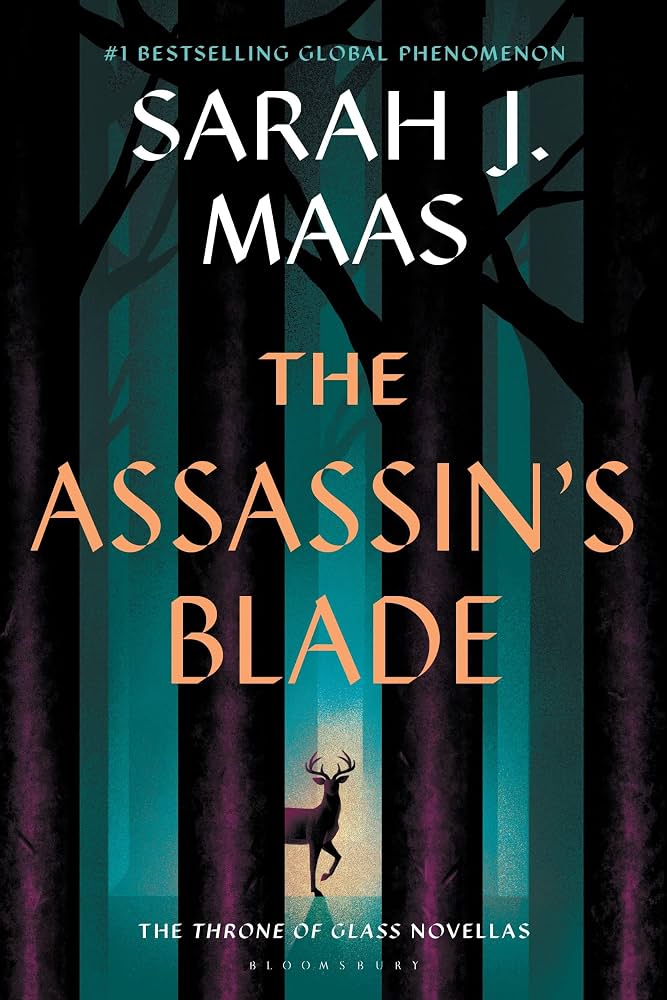 The assassins blade