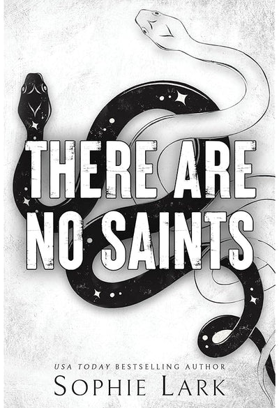 There are no saints ( book 1 in sinners duet duet series )