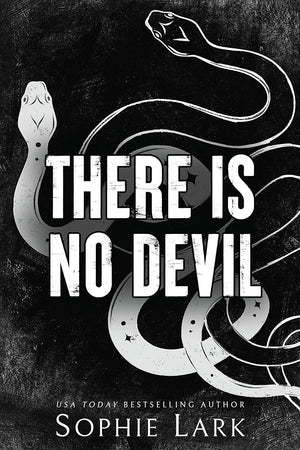 There is no devil ( book 2 in sinners duet series )