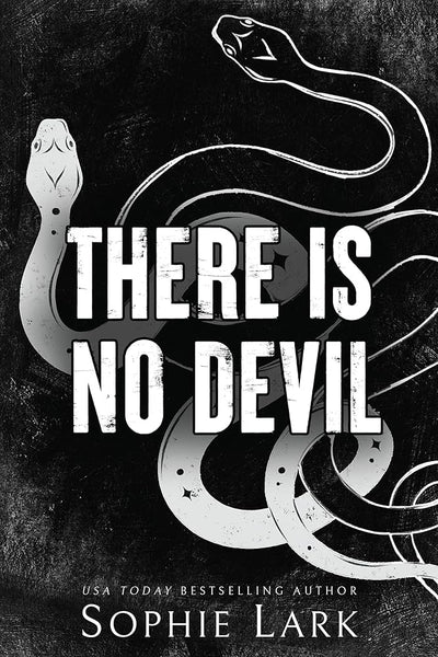 There is no devil ( book 2 in sinners duet series )