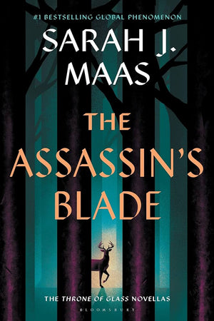 The assassins blade